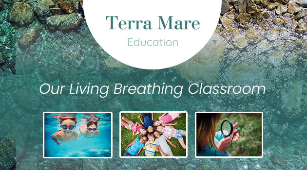 Terra Mare Education